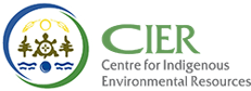 Cier LOGO