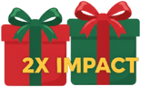 2x_impact-3