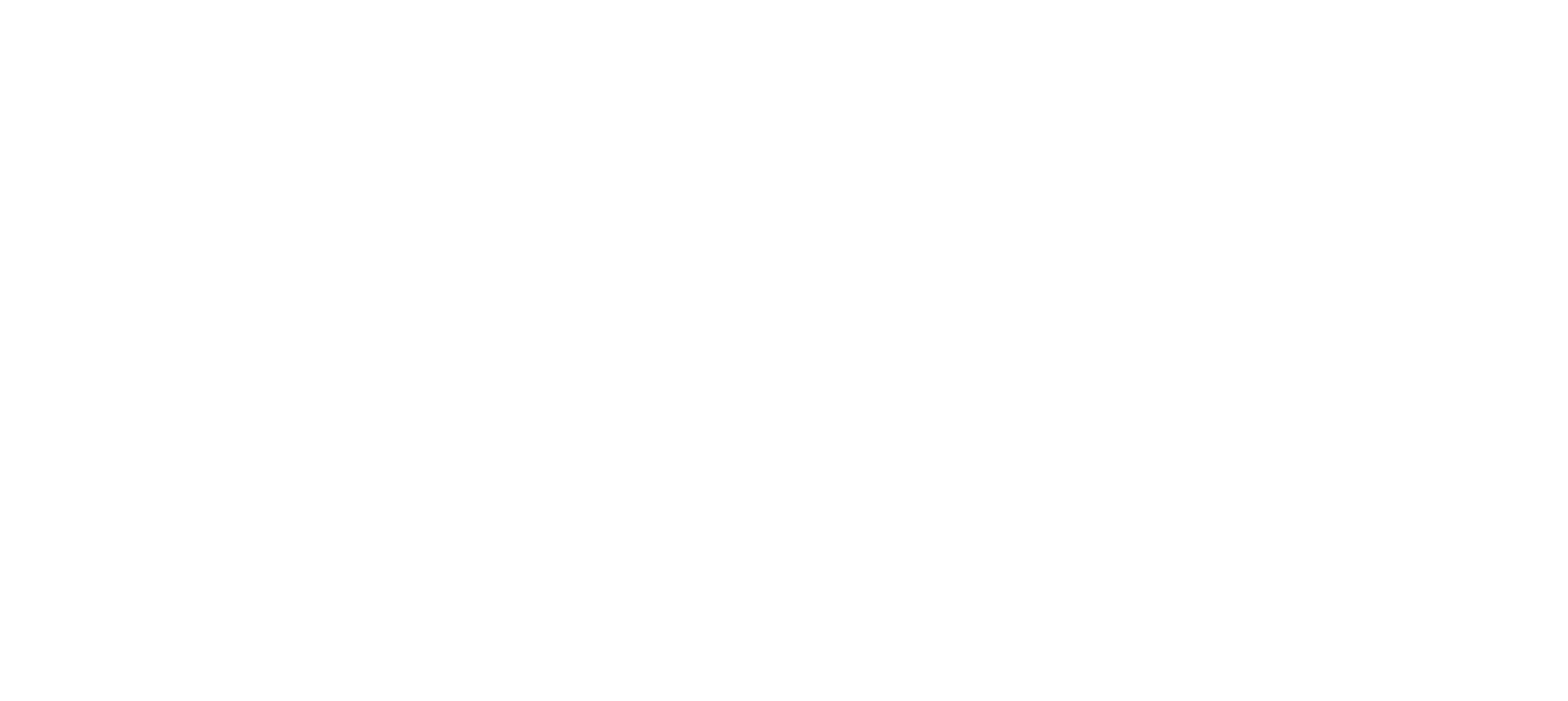 Logo_AA_white Logo_AA_white