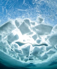 Under the Ice