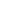 Icons_AA_All_Icon_binational-1-1