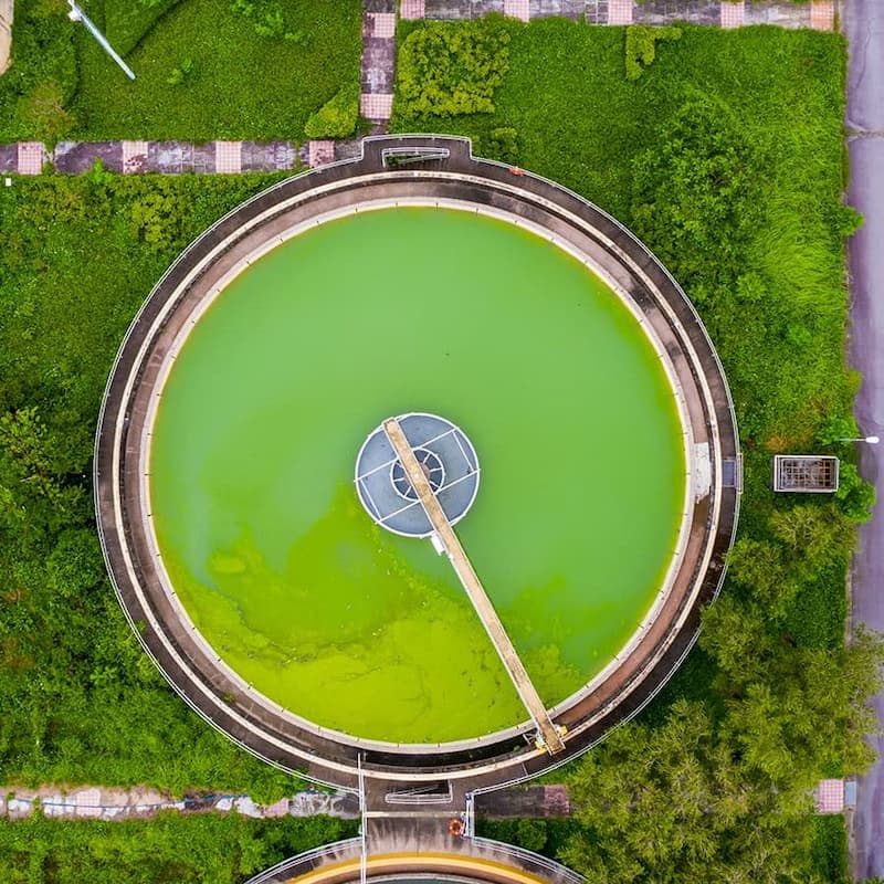 Overhead shot of a vibrant green water treatment basin surrounded by lush greenery.