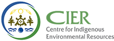 Cier LOGO