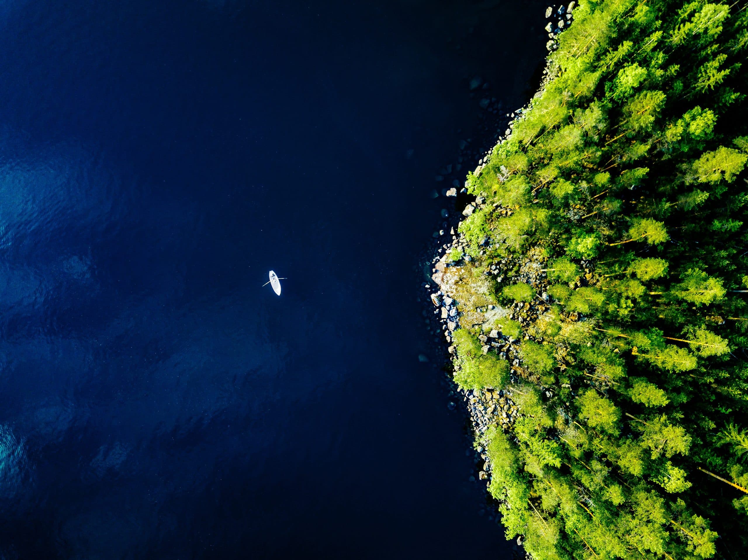 Kayaker paddles in a tranquil lake, with a dense forest on the shore, from a top-down perspective.