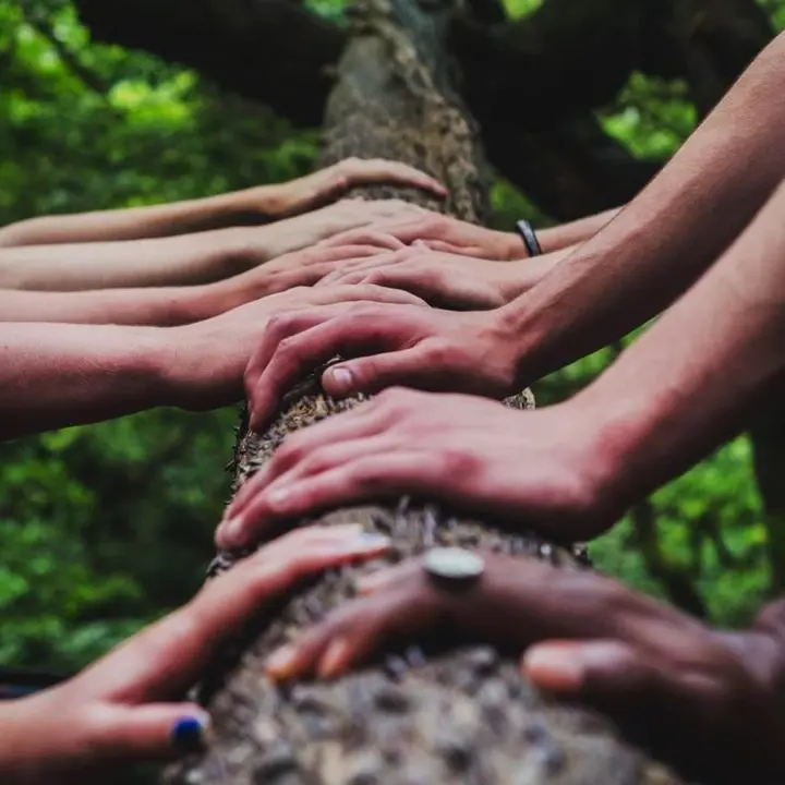 Mains jointes sur un tronc d'arbre, symbolisant la connexion avec la nature.