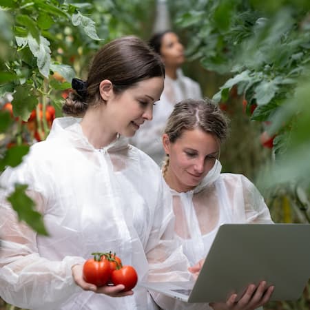 Two women in protective suits analyzing data on a laptop in a greenhouse, while one holds freshly harvested tomatoes, representing modern agricultural technology and sustainability.