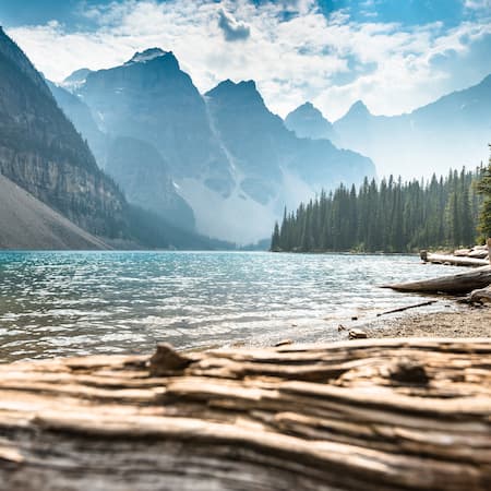 A crystal-clear mountain lake surrounded by evergreen forests and towering peaks, with driftwood in the foreground, capturing the beauty of untouched nature.