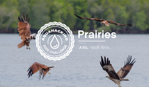 Crest AuqaHacking Prairies